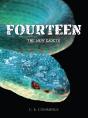 Fourteen - Preview