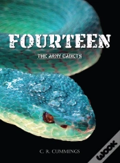 Capa do artigo Fourteen