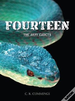 Capa do artigo Fourteen