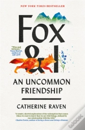Capa do artigo Fox And I