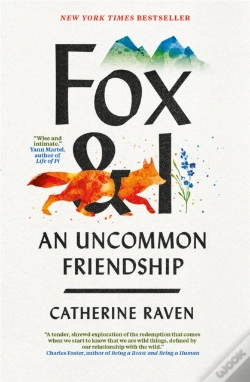 Capa do artigo Fox And I