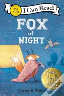 Fox At Night
