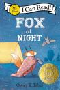 Fox At Night - Preview
