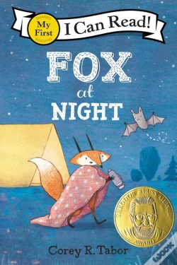 Capa do artigo Fox At Night