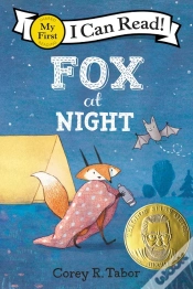Capa do artigo Fox At Night