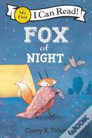 Fox At Night