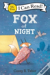 Capa do artigo Fox At Night