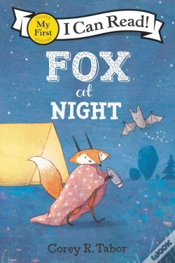 Capa do artigo Fox At Night
