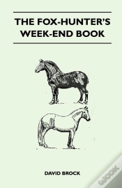Capa do artigo Fox-Hunter