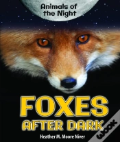 Capa do artigo Foxes After Dark