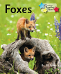 Foxes - Preview