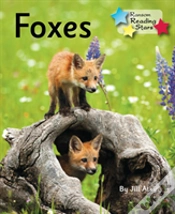 Capa do artigo Foxes