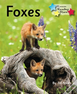 Capa do artigo Foxes