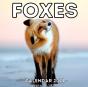 Foxes Calendar 2021 - Preview