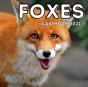 Foxes Calendar 2021 - Preview