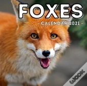 Foxes Calendar 2021