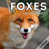 Capa do artigo Foxes Calendar 2021