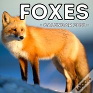 Foxes Calendar 2021