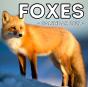 Foxes Calendar 2021 - Preview