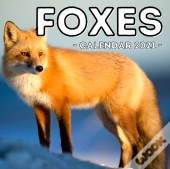Foxes Calendar 2021