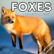 Capa do artigo Foxes Calendar 2021