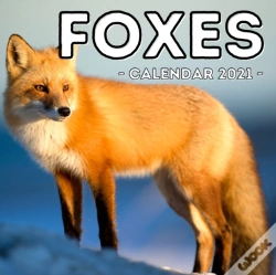 Capa do artigo Foxes Calendar 2021