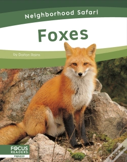 Capa do artigo Foxes