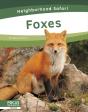 Foxes - Preview