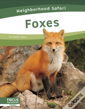 Capa do artigo Foxes