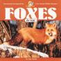 Foxes For Kids - Preview