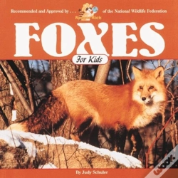 Capa do artigo Foxes For Kids