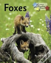 Capa do artigo Foxes