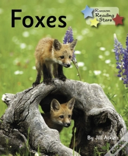 Capa do artigo Foxes