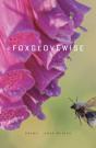 Foxglovewise - Preview