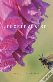Capa do artigo Foxglovewise