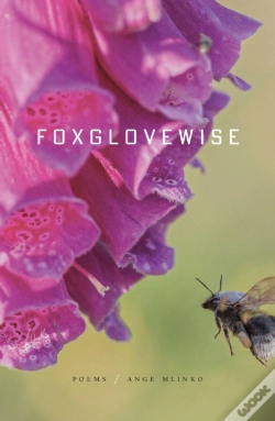 Capa do artigo Foxglovewise