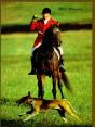Foxhunting With Melvin Poe - Preview