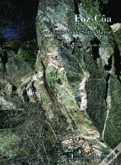 Capa do artigo Foz-Côa