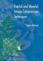 Fractal And Wavelet Image Compression Techniques - Preview
