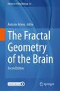 Fractal Geometry Of The Brain - Preview