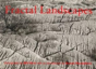 Fractal Landscapes - Preview