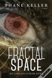 Fractal Space