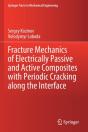 Fracture Mechanics Of Electrically Passive And Active Composites With Periodic Cracking Along The Interface - Preview