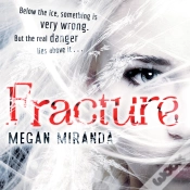 Capa do artigo Fracture