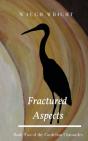 Fractured Aspects - Preview