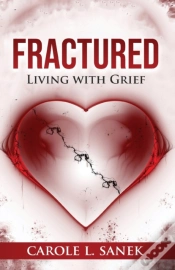 Capa do artigo Fractured