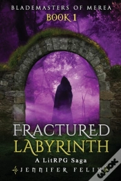 Capa do artigo Fractured Labyrinth