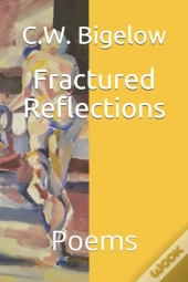 Fractured Reflections