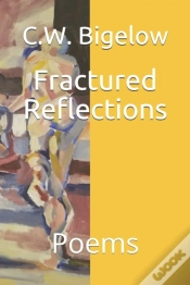 Capa do artigo Fractured Reflections