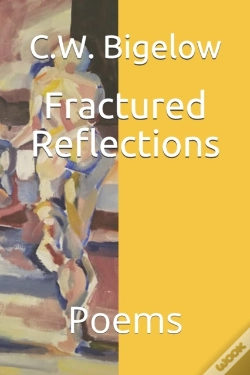 Capa do artigo Fractured Reflections